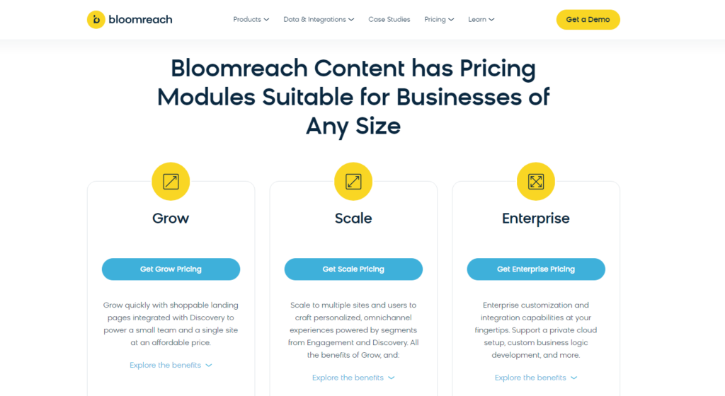 Bloomreach Content pricing