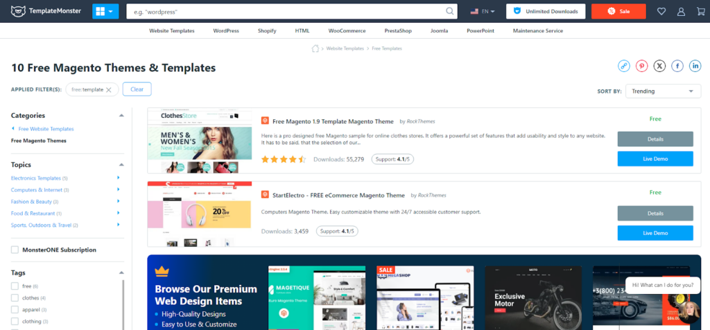 Magento themes