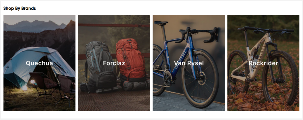 CRO Inspiration from Decathlon — Link to Brands & Categories