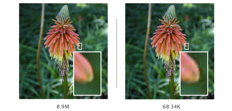 Comparison of Image Quality Before and After Image Compression