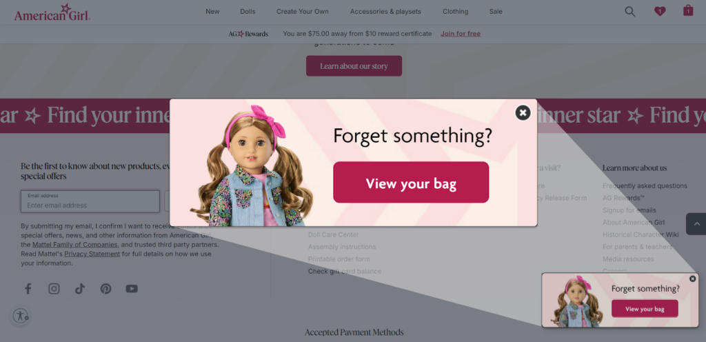 Personalized Reminder Pop-ups - View your bag