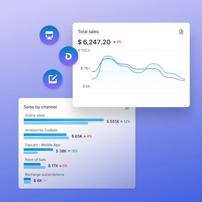 Total Sales and Sales by Channels Reports in Shopify