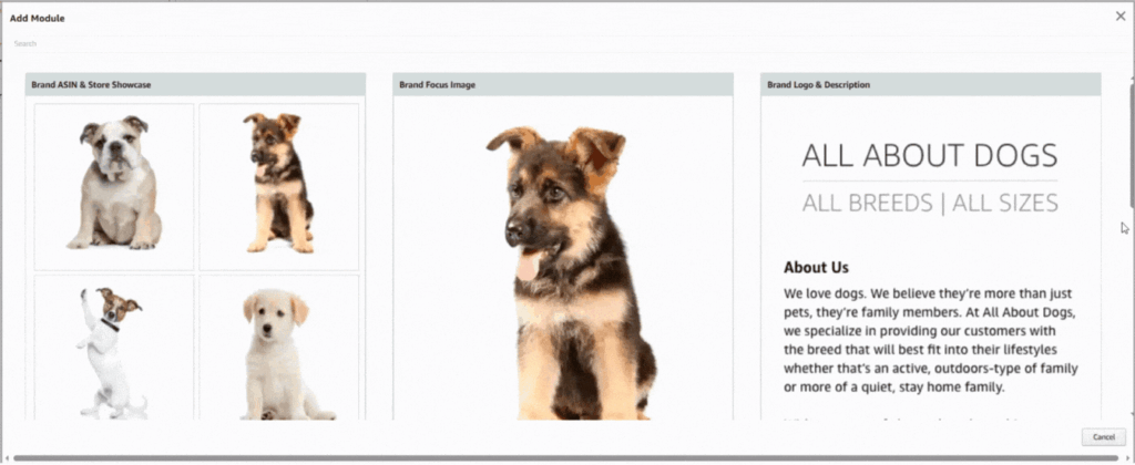 Modules for Brand story Amazon A+ Content