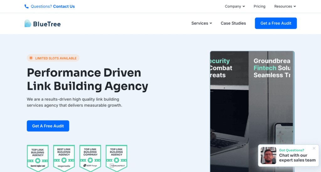 BlueTree Digital agency website for B2B SaaS backlinks