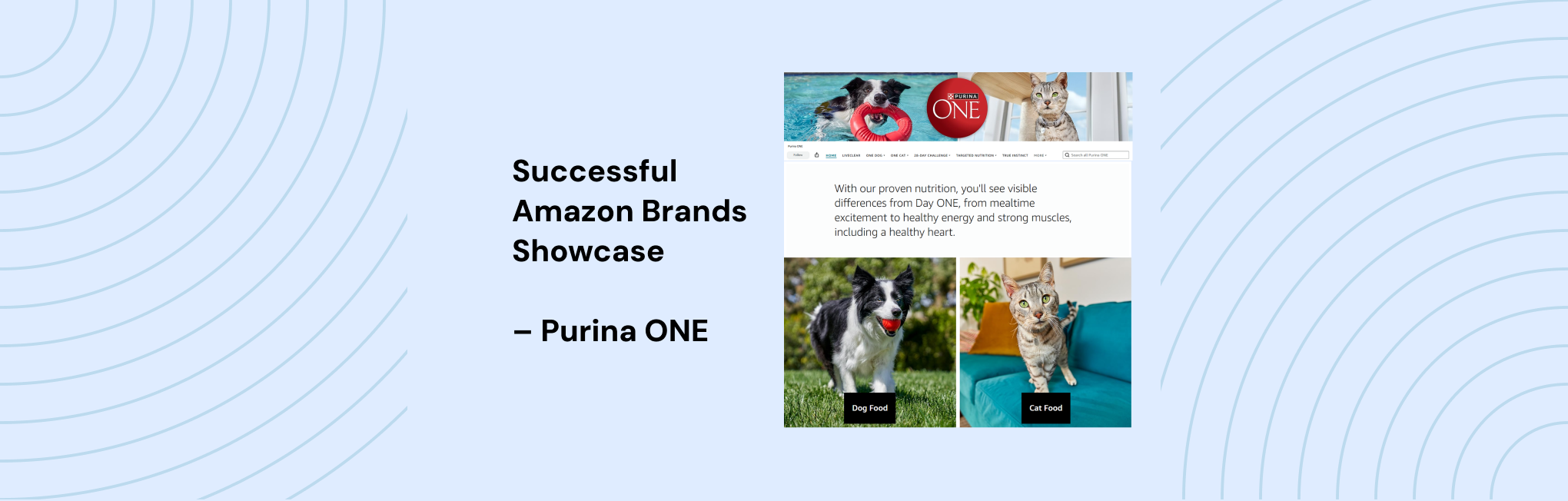 Purina ONE's Amazon Success for Pet Supplies Category