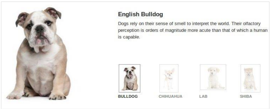 amazon-aplus-four-image-highlights-module
