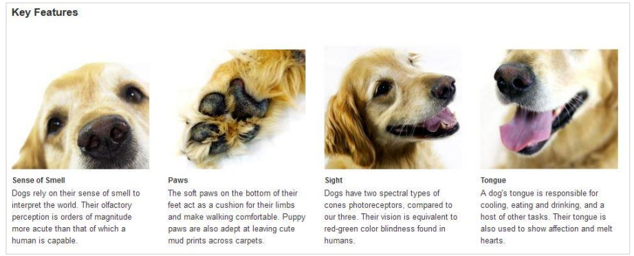 amazon-aplus-four-images-text-module