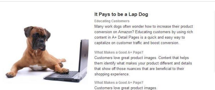 amazon-aplus-single-image-highlights-module